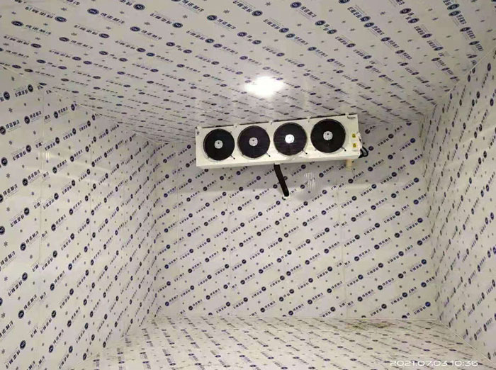 L(fng)C(j)(ni)